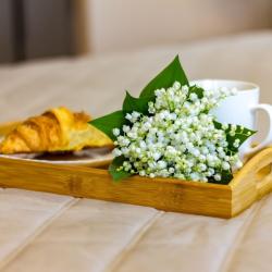 Фото Апартаменты на улице Космонавта Леонова