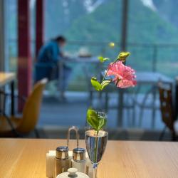 Фото Отель Гостевой дом 1950