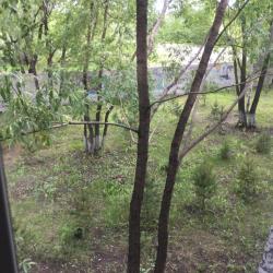 Фото Отель Комфорт