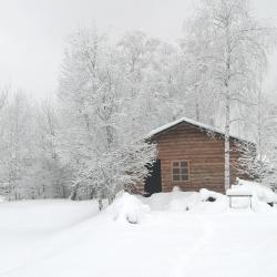 Фото Отель Гостевой дом Окулова Заимка