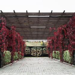 Фото Отель Лунежские горы