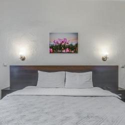 Фото Отель Пик