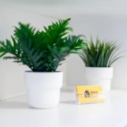 Фото Отель RentPlaza (РентПлаза) на 5-ой просеке 133