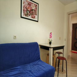 Фото Апартаменты на улице Петра Метальникова 5 корпус 1