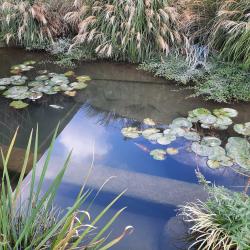 Фото Отель Пан Азиат