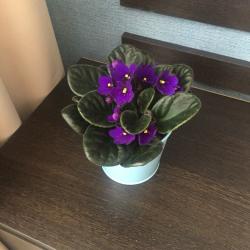 Фото Квартиркин апарт-отель