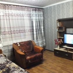 1-комнатные апартаменты эконом улица Лесная, 5