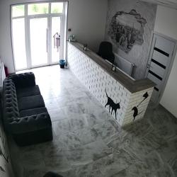 Фото Отель ДиНастия