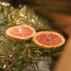 Фото Отель Игуана