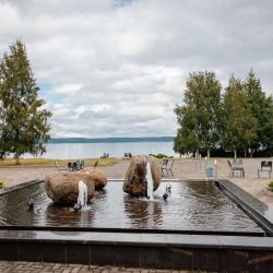 Фото Отель Прионежский