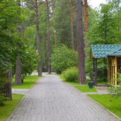 Фото Отель Кедровый остров