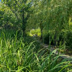 Бунгало стандарт