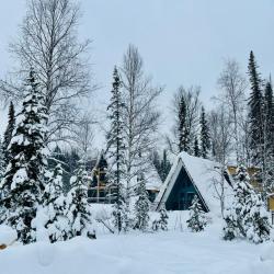 4-местный коттедж премиум