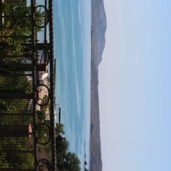 1-комнатные апартаменты люкс