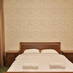 Фото Отель Аустерия