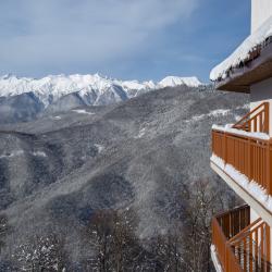 Люкс Панорама с 1 двуспальной кроватью