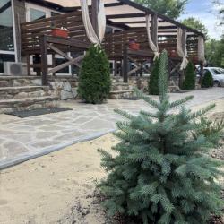 Фото Отель Белуга