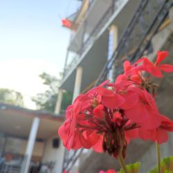 Фото Отель Riviera (Ривьера)