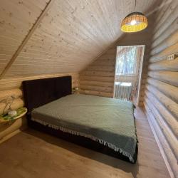 Фото Отель Финский Лес