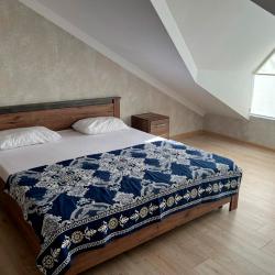 1-комнатные апартаменты стандарт (мансарда)