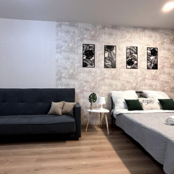 2-комнатные апартаменты стандарт