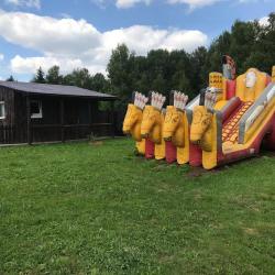 Фото Отель Новокурово