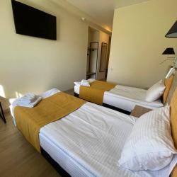 Номер стандарт с 2 односпальными или 1 двуспальной кроватью Корпус Loft