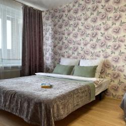 1-комнатные апартаменты улучшенные Ижевск улица Софьи Ковалевской, 11А,