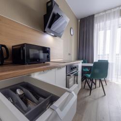 Фото Отель Дизайнерская квартира в Южном берегу с видом на Енисей