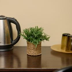 2-местный номер стандарт