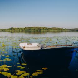 Фото Отель Торополис