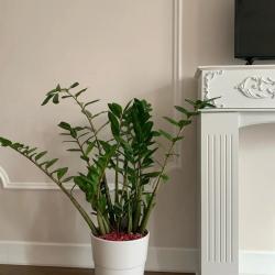 Фото Апартаменты на улице Валентина Мосина 4