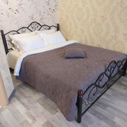 1-комнатные апартаменты люкс г. Липецк, ул Свиридова, д. 18 с 1 двуспальной кроватью
