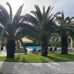 Фото Уютные апартаменты в Парковом квартале отеля «Имеретинский»