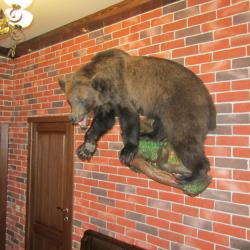 Фото Отель Купеческая