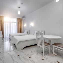 1-комнатные апартаменты студия