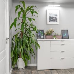 Фото Отель Три барсука