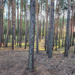 Фото Отель Свой берег
