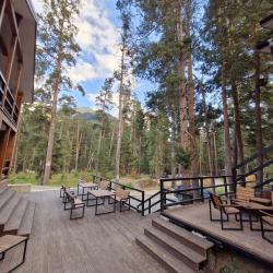 Фото Апарт-отель Les (Лес)