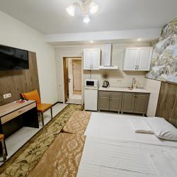 Номер повышенной комфортности с кухней