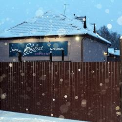 Фото Отель Шелест