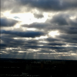 1-комнатные апартаменты стандарт Видная д.1