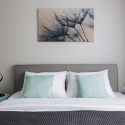 Фото Отель Malkova Apartments на Еловой аллее 5Ак2