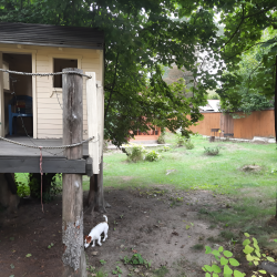 Фото Отель Коттедж с баней в Кратово