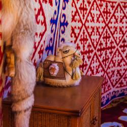 Фото Отель BalQaragai (Балкарагай)