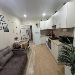 1-комнатные апартаменты стандарт