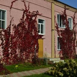 Фото Отель Гостевой дом Комфорт