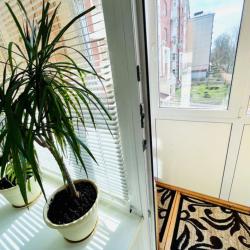 1-комнатные апартаменты стандарт