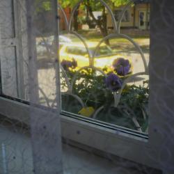 Номер стандарт с 1 двуспальной кроватью