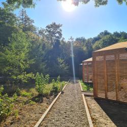 Фото Отель Загородный клуб Лес